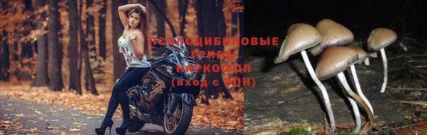мет Абаза